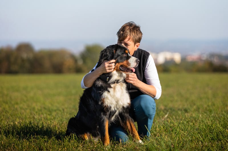 Hundeschule Dresden Hundeerziehung Kai Hartmann