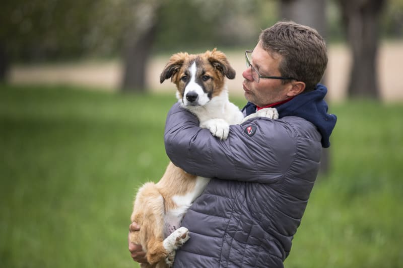 Hundeschule Dresden Kai Hartmann