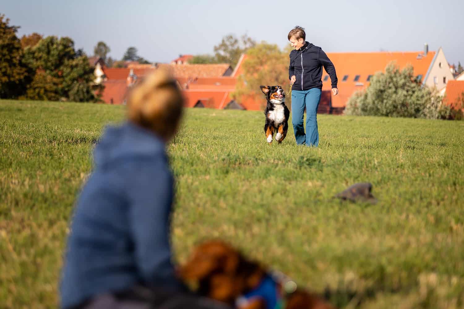 Veränderung Hundetrainer Dresden Hundeschule Kai Hartmann