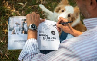 Hundeerziehung Hundeschule Hundetrainer Kai Hartmann Dresden