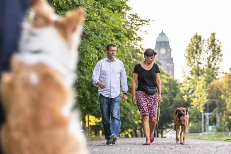 Lockere Leine Leinenführigkeit Hundeschule Dresden