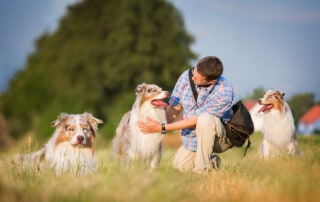 Hundeschule Dresden Kai Hartmann Wer sind wir?