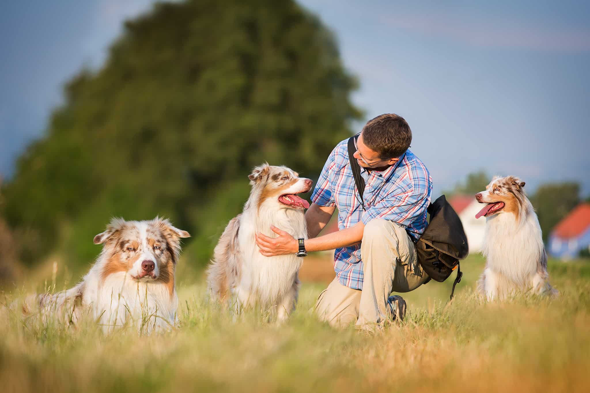 Hundeschule Dresden Kai Hartmann Wer sind wir?