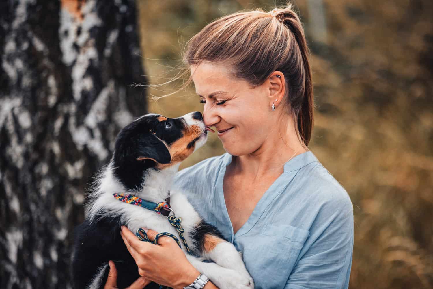 Wann geht es in die Hundeschule