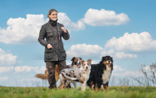 Rückrufchallenge Das Pfeifenspiel der sichere Rückruf Kai Hartmann Nancy Wendler Kosmos