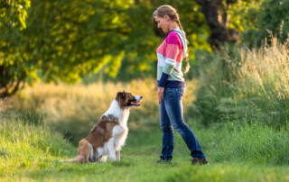 Faire Grenzen Kai Hartmann Nancy Wendler Hundetrainer Hundeschule Dresden 5er Basis