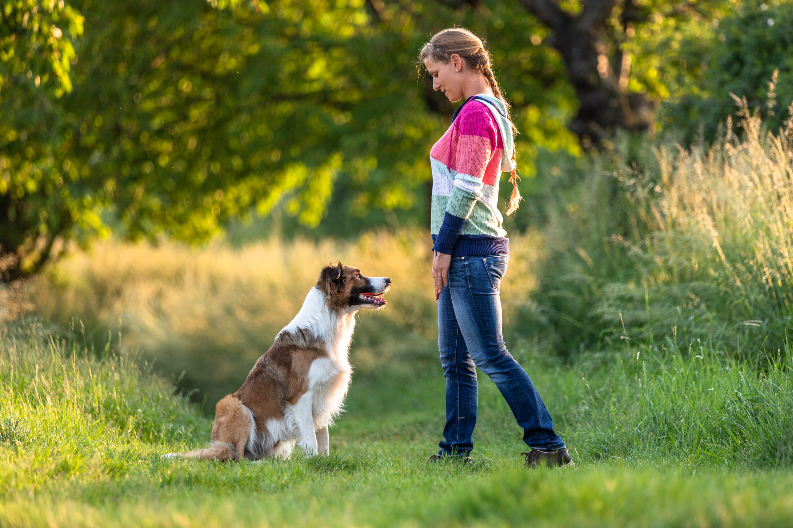 Faire Grenzen Kai Hartmann Nancy Wendler Hundetrainer Hundeschule Dresden 5er Basis scaled