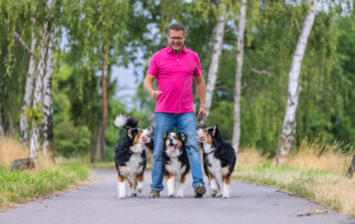 Hundetrainer Hundeschule Dresden Kai Hartmann Hundeerziehung