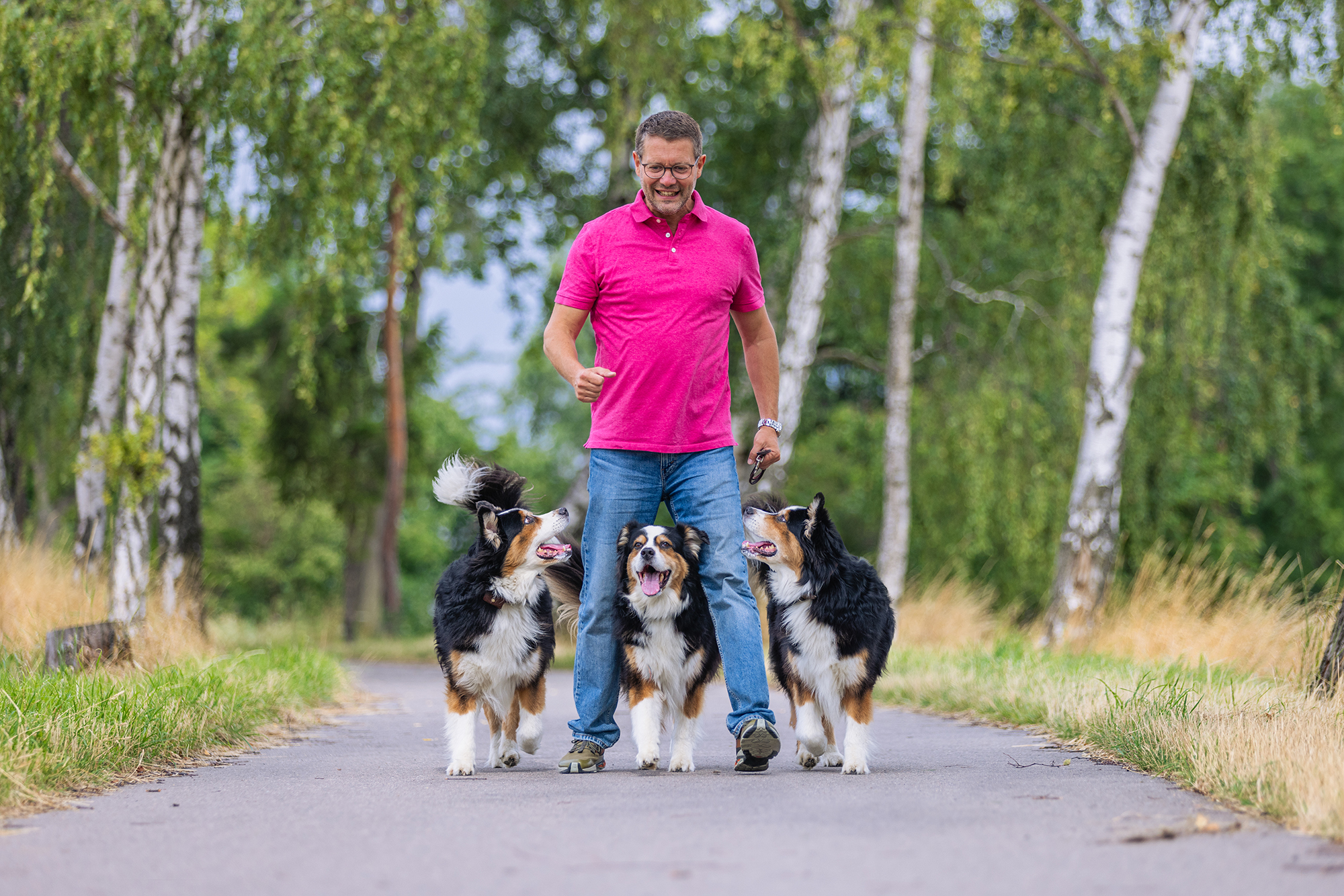 Hundetrainer Hundeschule Dresden Kai Hartmann Hundeerziehung