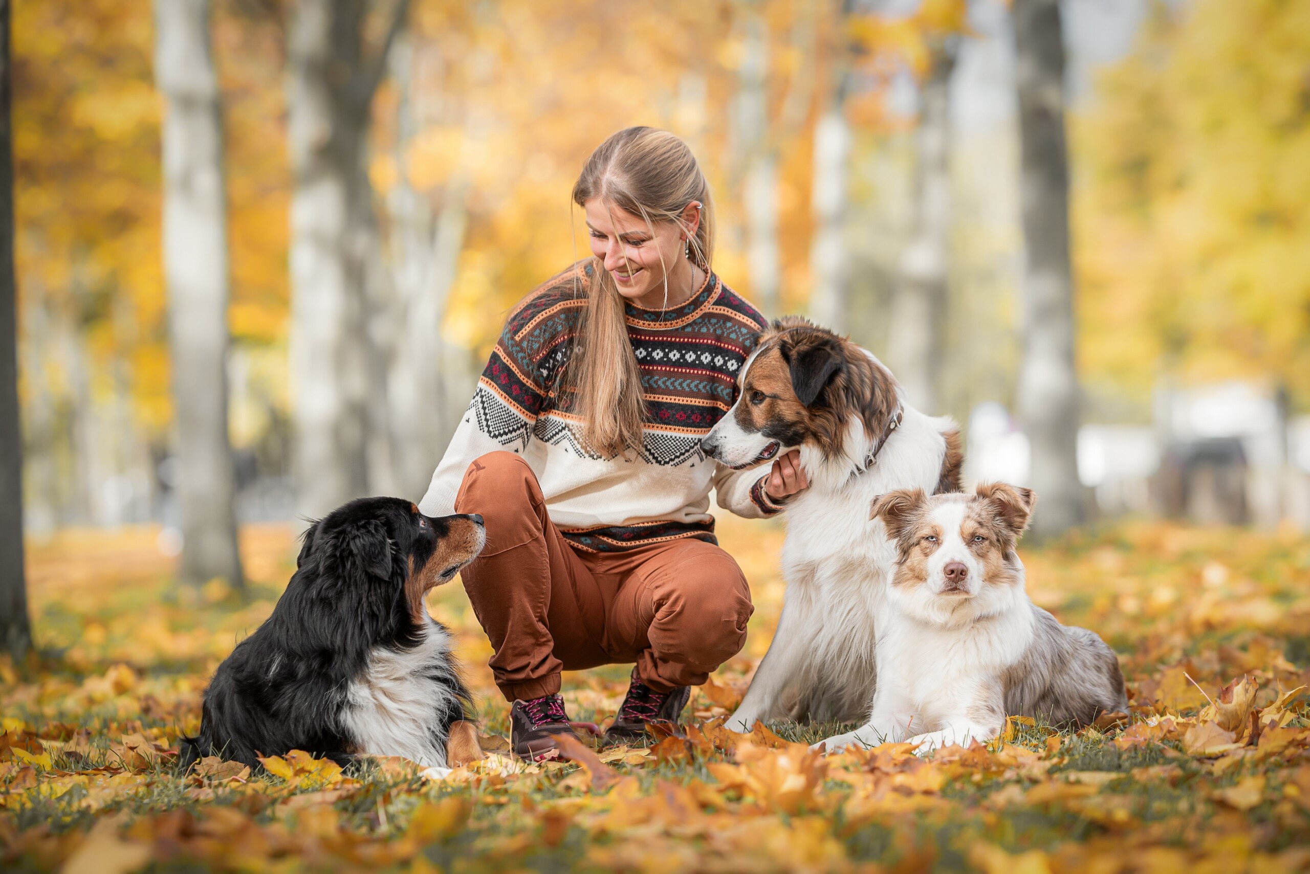 Loben lieben motivieren verstärken Hundetrainer Hundeschule Dresden kai Hartmann Nancy Wendler