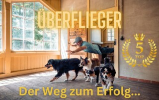 Hundetrainerweiterbildung Kai Hartmann Dresden 5er-Basis Hundeschule Hundetrainer Dresden