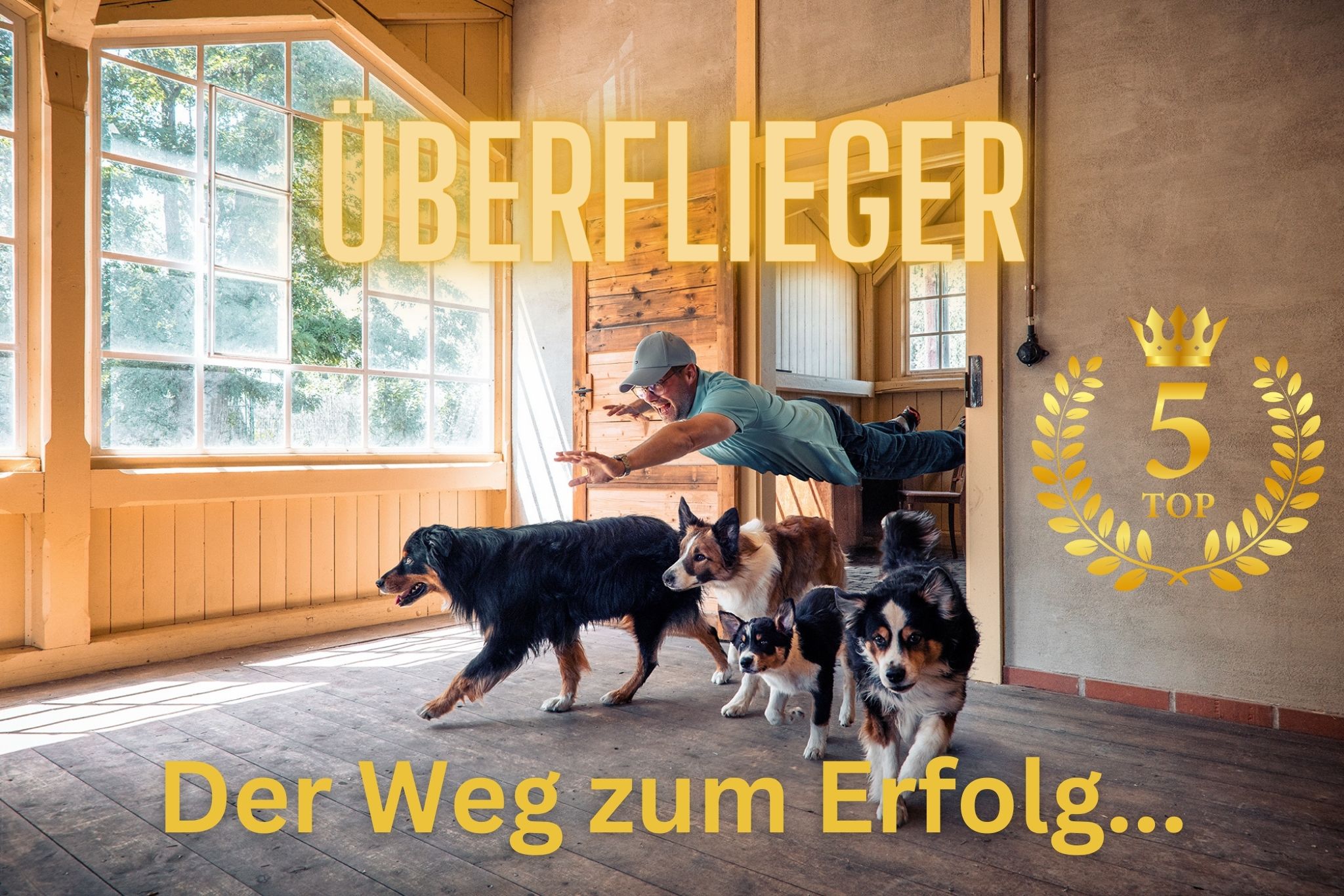 Hundetrainerweiterbildung Kai Hartmann Dresden 5er-Basis Hundeschule Hundetrainer Dresden