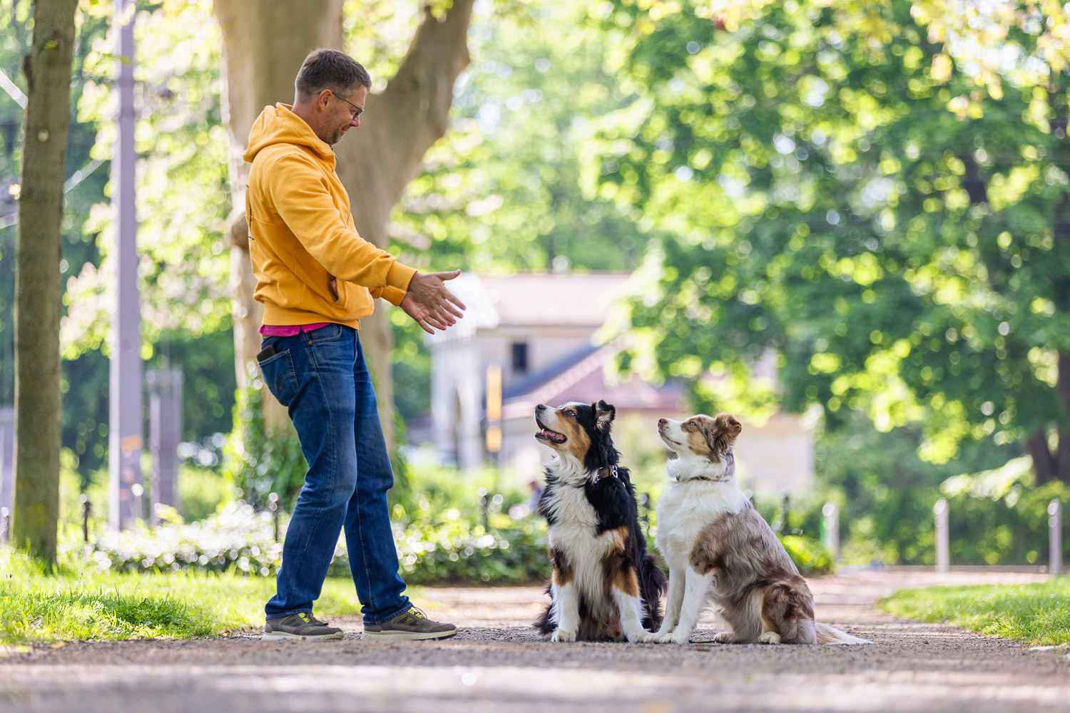 CARE-Methode in der Hundeerziehung Kai Hartmann Hundetrainer 5er-Basis