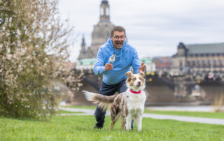 Positive Verstärkung in der Hundeerziehung