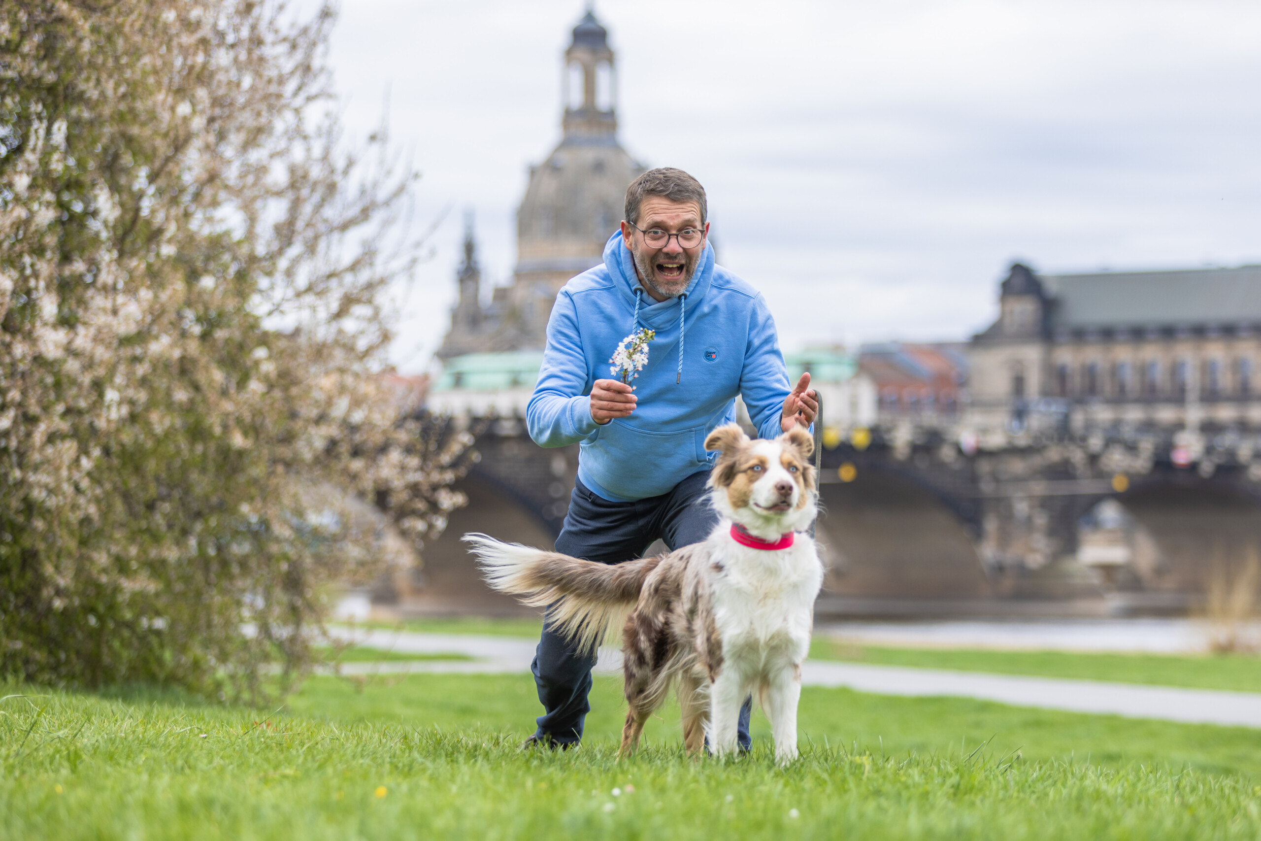 Positive Verstärkung in der Hundeerziehung