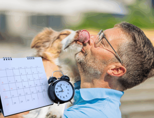 Verhaltensänderung beim Hund